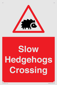 PV16860: Slow Hedgehogs Crossing