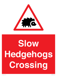 PV16860: Slow Hedgehogs Crossing
