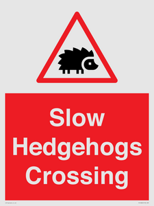 PV16860: Slow Hedgehogs Crossing
