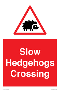 PV16860: Slow Hedgehogs Crossing