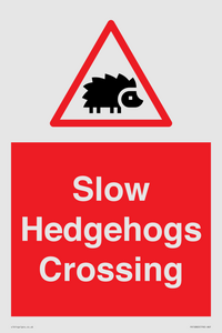 PV16860: Slow Hedgehogs Crossing