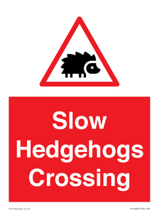 PV16860: Slow Hedgehogs Crossing