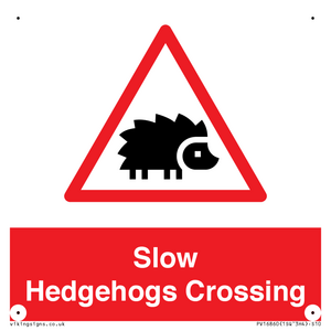 PV16860: Slow Hedgehogs Crossing