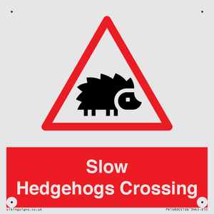 PV16860: Slow Hedgehogs Crossing