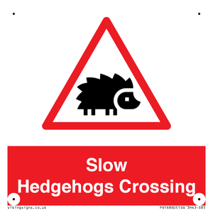 PV16860: Slow Hedgehogs Crossing