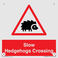 PV16860: Slow Hedgehogs Crossing