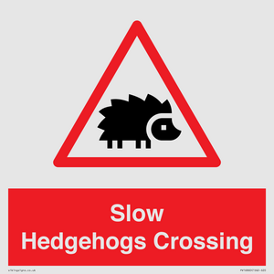 PV16860: Slow Hedgehogs Crossing