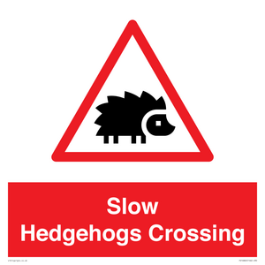 PV16860: Slow Hedgehogs Crossing