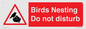 PV16917: Birds Nesting Do not disturb