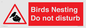 PV16917: Birds Nesting Do not disturb