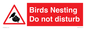 PV16917: Birds Nesting Do not disturb