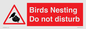 PV16917: Birds Nesting Do not disturb