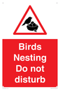 PV16917: Birds Nesting Do not disturb