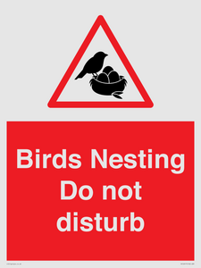 PV16917: Birds Nesting Do not disturb