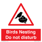 PV16917: Birds Nesting Do not disturb