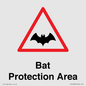 PV16929: Bat Protection Area