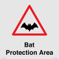 PV16929: Bat Protection Area