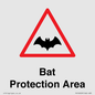 PV16929: Bat Protection Area
