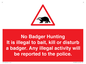 PV16935: No Badger Hunting It is illegal