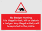 PV16935: No Badger Hunting It is illegal