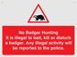 PV16935: No Badger Hunting It is illegal