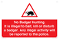 PV16935: No Badger Hunting It is illegal