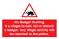 PV16935: No Badger Hunting It is illegal