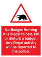 PV16935: No Badger Hunting It is illegal