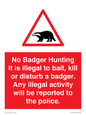 PV16935: No Badger Hunting It is illegal