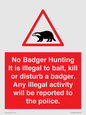 PV16935: No Badger Hunting It is illegal