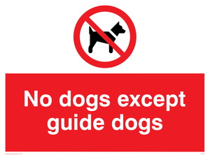 PV47: no dogs except guide dogs