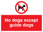 PV47: no dogs except guide dogs