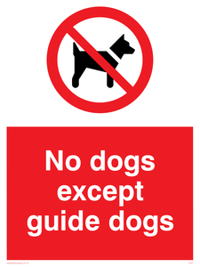 PV47: no dogs except guide dogs