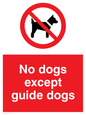PV47: no dogs except guide dogs