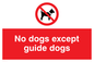 PV47: no dogs except guide dogs