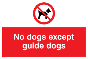 PV47: no dogs except guide dogs
