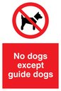 PV47: no dogs except guide dogs