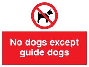 PV47: no dogs except guide dogs