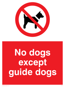 PV47: no dogs except guide dogs