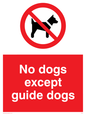 PV47: no dogs except guide dogs