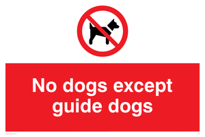 PV47: no dogs except guide dogs