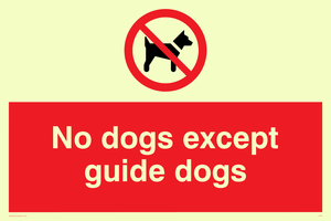 PV47: no dogs except guide dogs