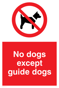 PV47: no dogs except guide dogs