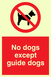 PV47: no dogs except guide dogs