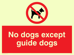 PV47: no dogs except guide dogs