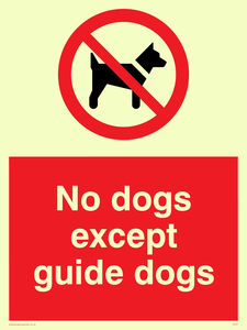 PV47: no dogs except guide dogs