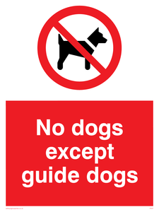 PV47: no dogs except guide dogs