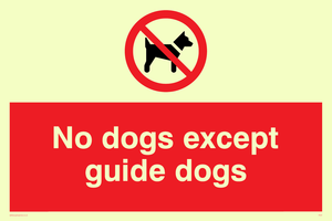 PV47: no dogs except guide dogs
