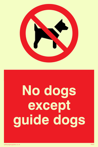 PV47: no dogs except guide dogs