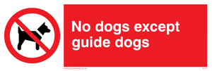 PV47: no dogs except guide dogs